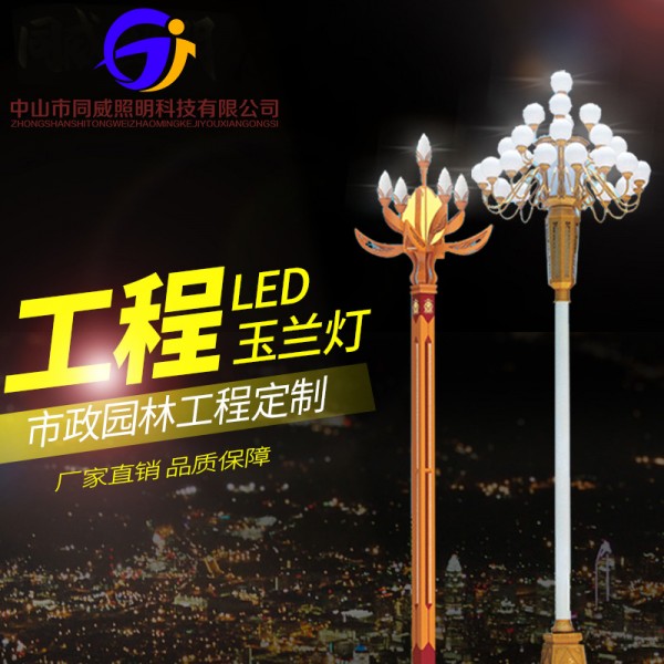 戶外LED中華玉蘭燈廣場景觀燈